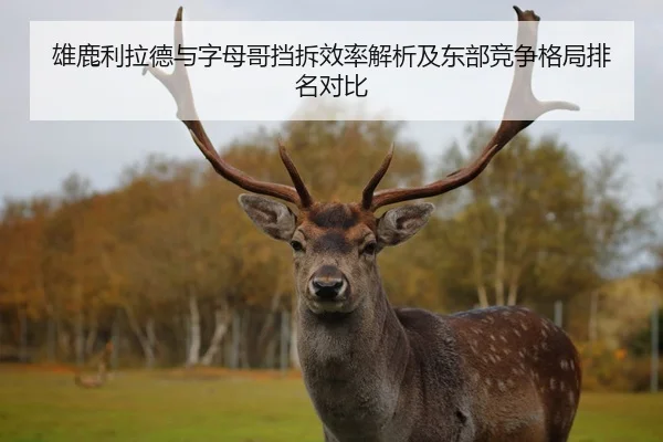 雄鹿利拉德与字母哥挡拆效率解析及东部竞争格局排名对比