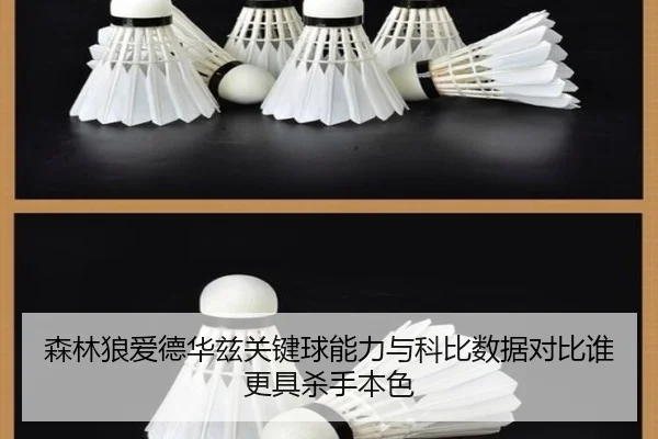 森林狼爱德华兹关键球能力与科比数据对比谁更具杀手本色
