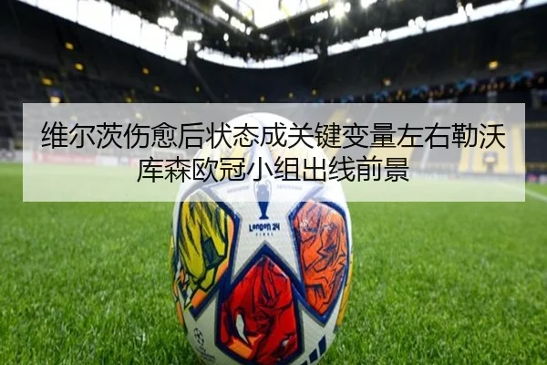 维尔茨伤愈后状态成关键变量左右勒沃库森欧冠小组出线前景