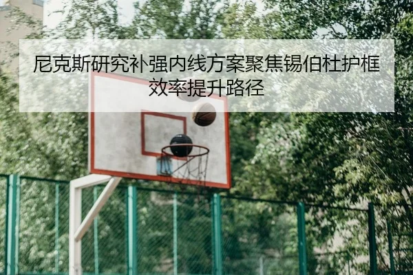 尼克斯研究补强内线方案聚焦锡伯杜护框效率提升路径